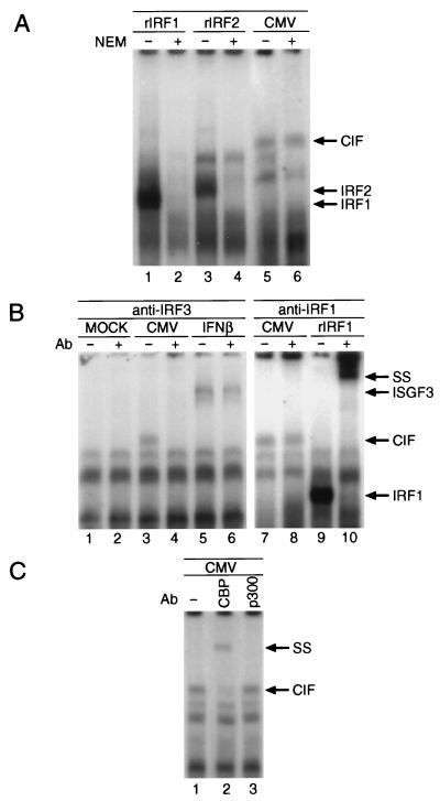 FIG. 5