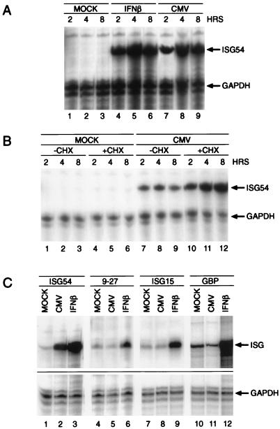 FIG. 1