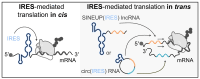 Graphical Abstract