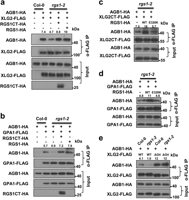 Fig. 4