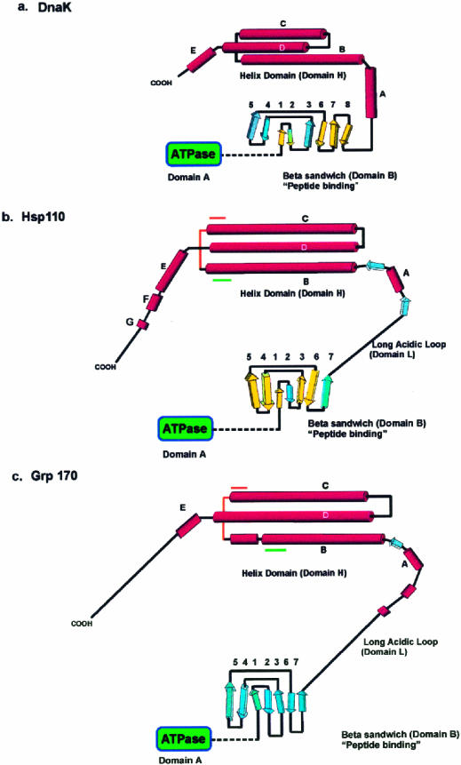 Fig 1.