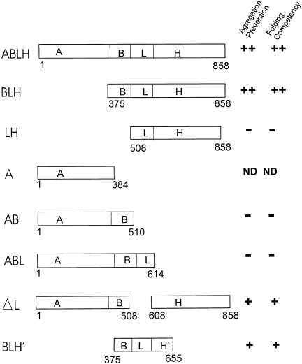 Fig 3.