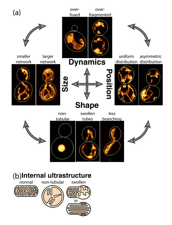 Figure 2.