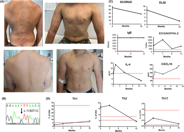 FIGURE 1