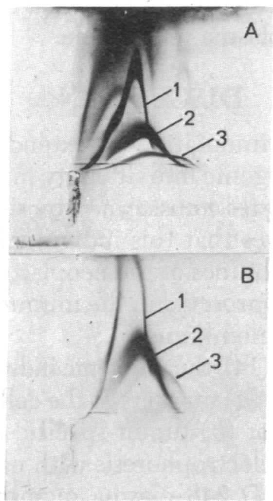 graphic file with name pnas00024-0259-c.jpg