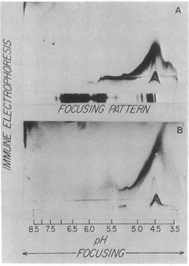 graphic file with name pnas00024-0260-a.jpg