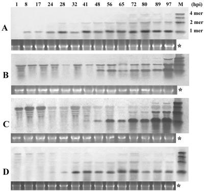 FIG. 9.