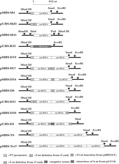 FIG. 7.