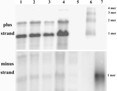 FIG. 8.