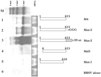 FIG. 10.