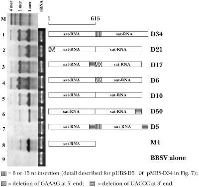 FIG. 11.