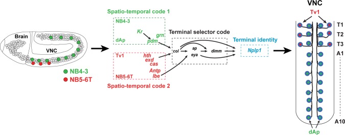 Fig 9