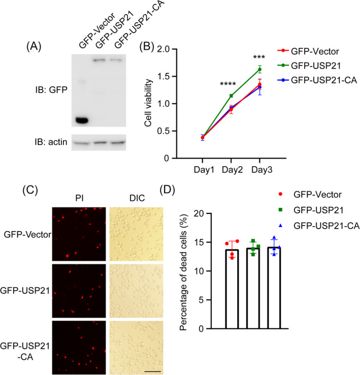 FIGURE 3