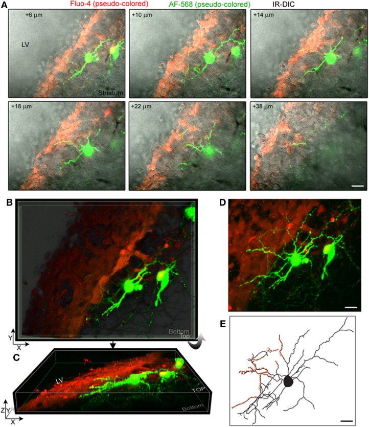 Figure 2