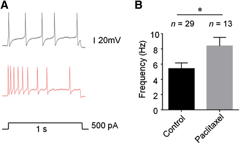 Fig. 6