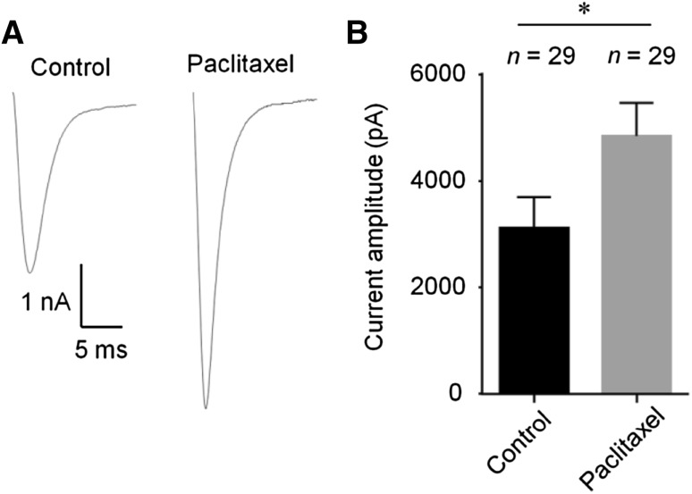 Fig. 5