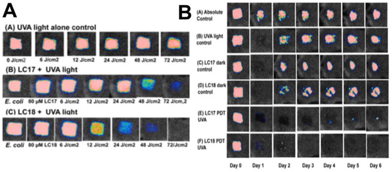 Figure 10