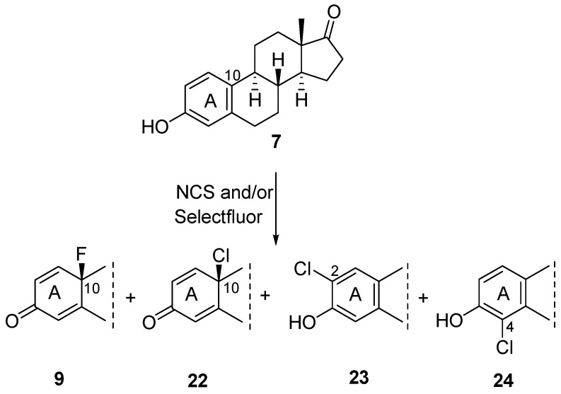 Scheme 6