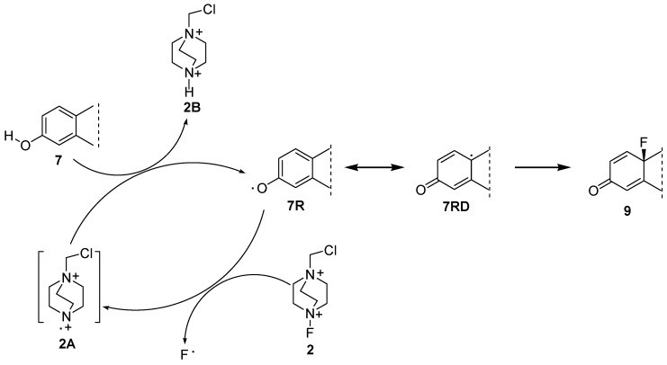 Scheme 5