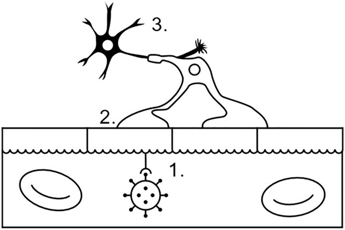 Fig. 1