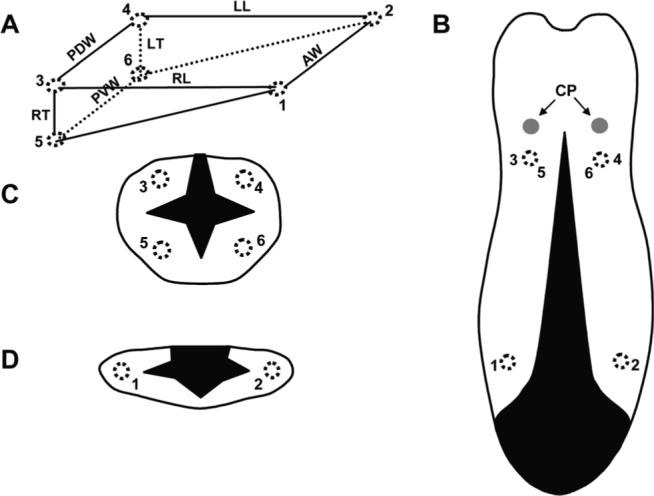 Fig. 1