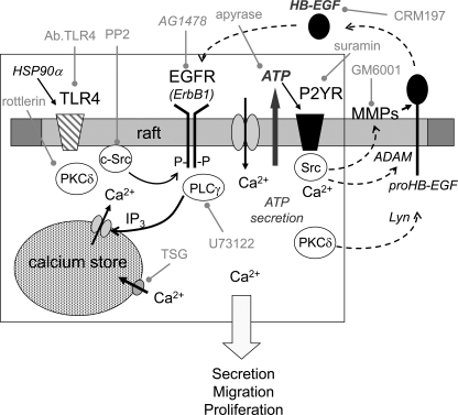 FIGURE 7.