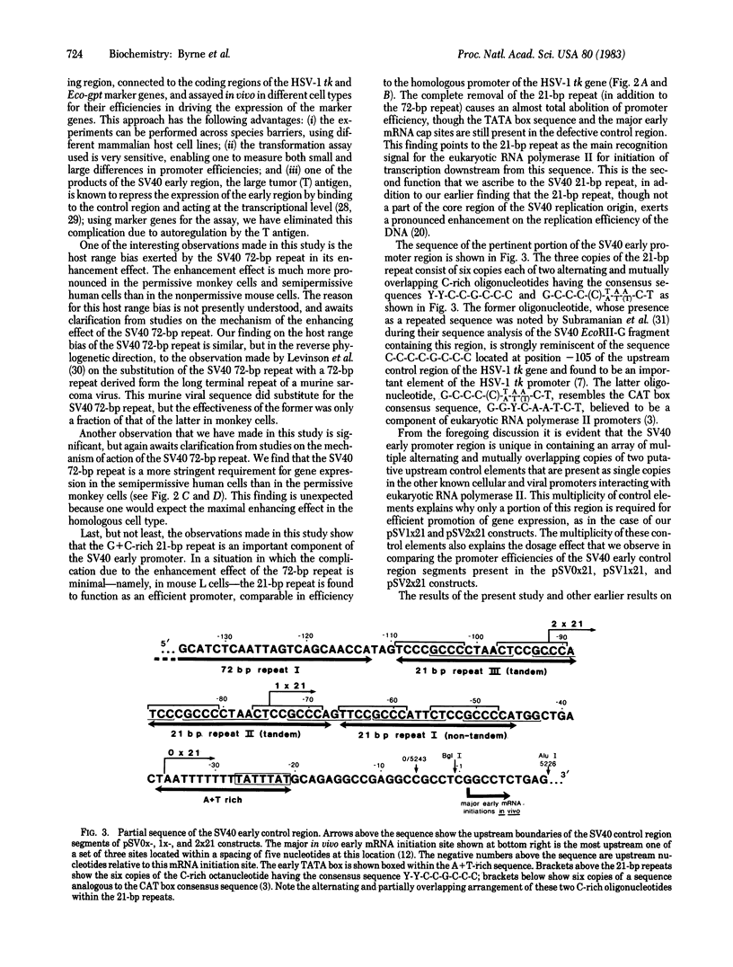 Definition of the simian virus 40 early promoter region and ...