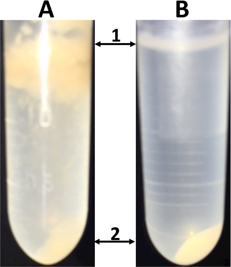 Figure 4A,B.