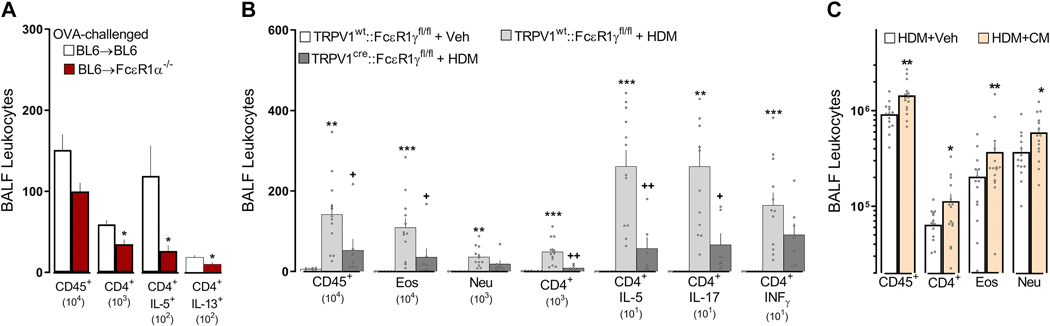 Figure 6: