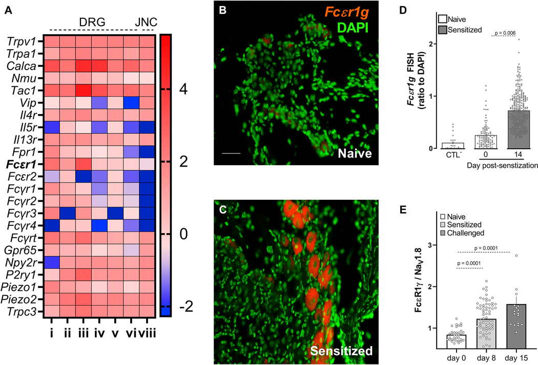 Figure 2: