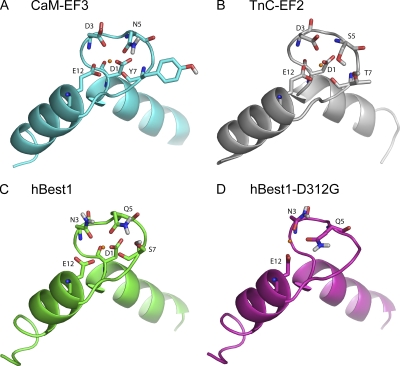 Figure 5.