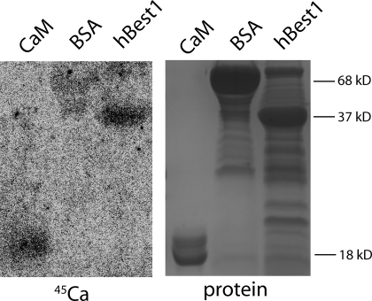 Figure 6.