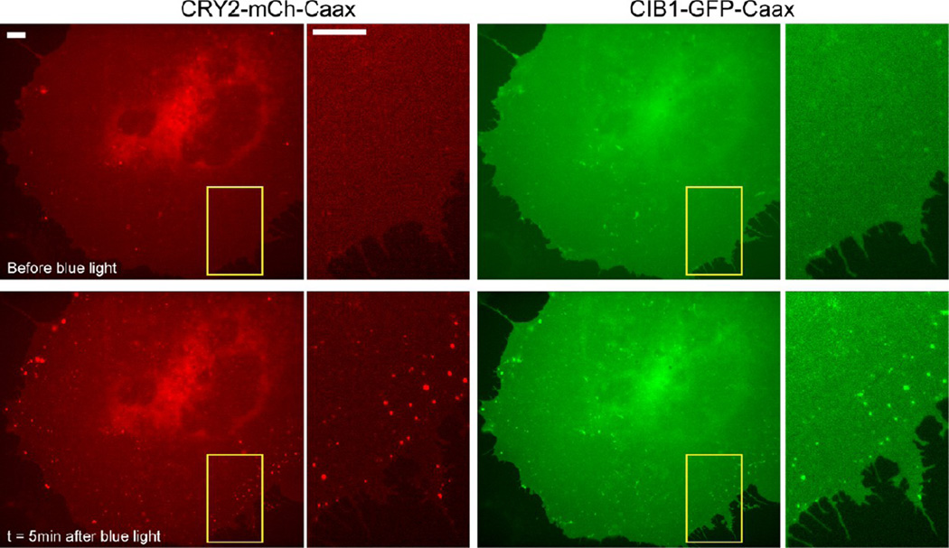 Figure 4