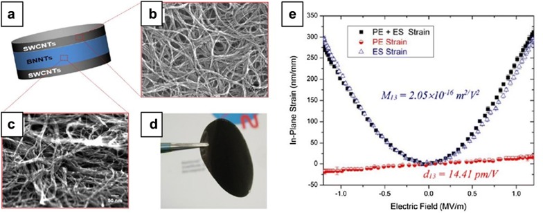 Fig. 9