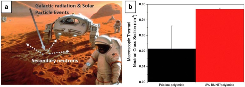 Fig. 10