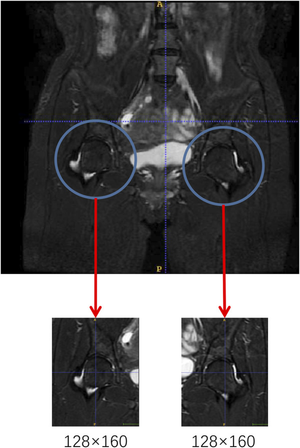 FIGURE 1