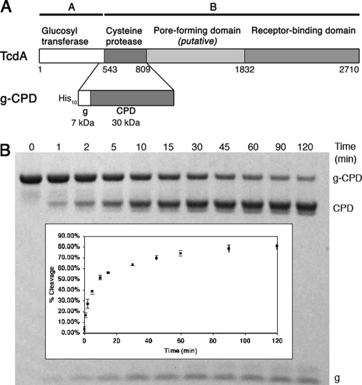 FIGURE 1.