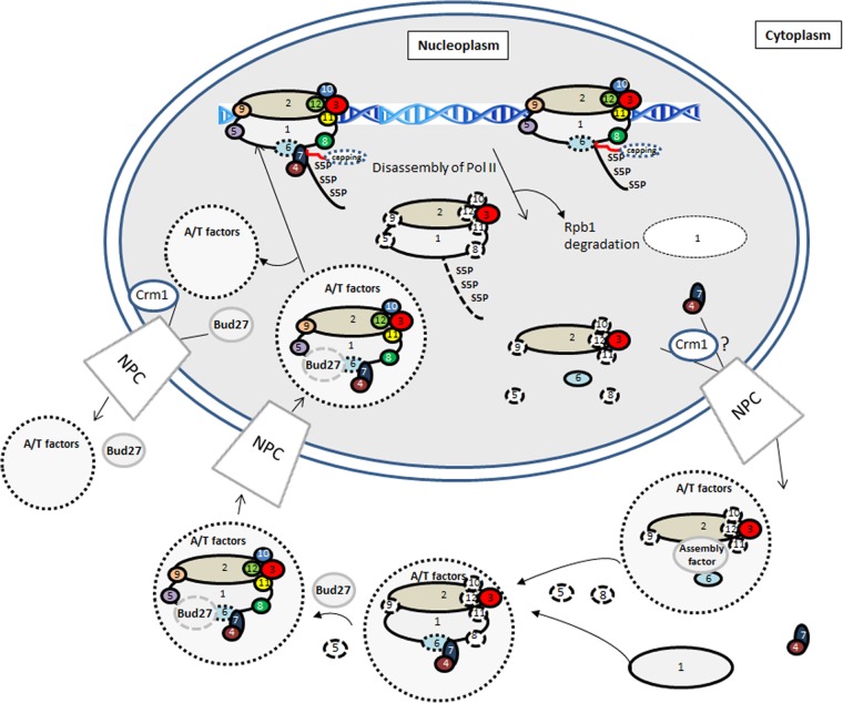 Fig 10