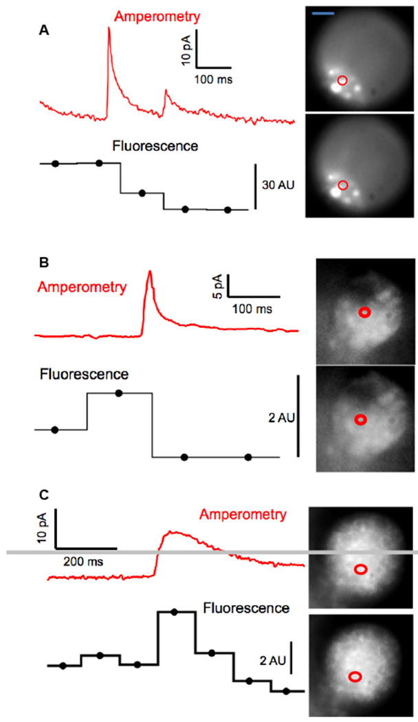 Figure 4.