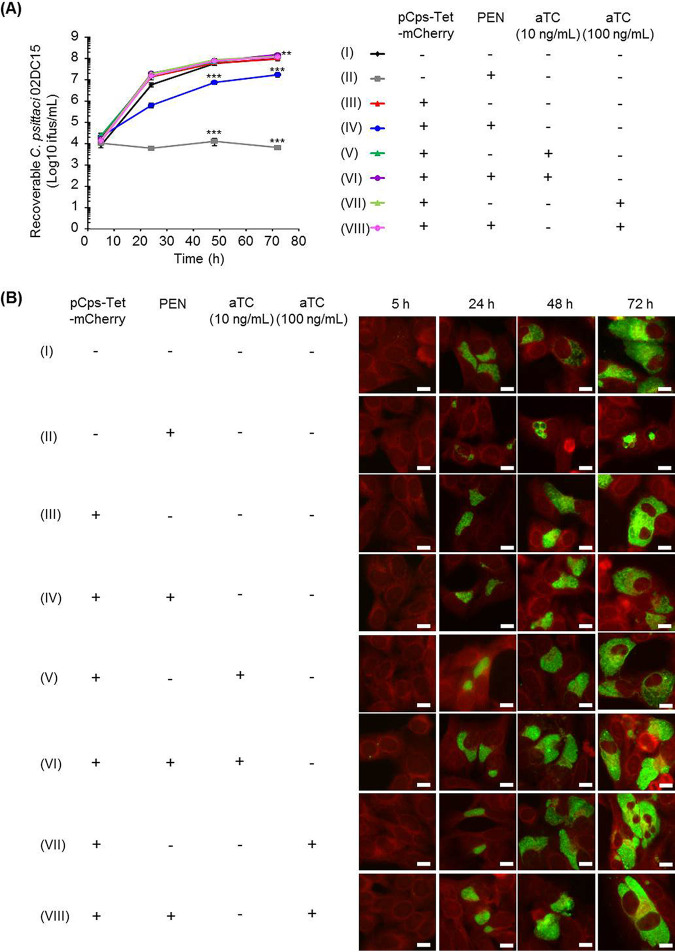 FIG 3