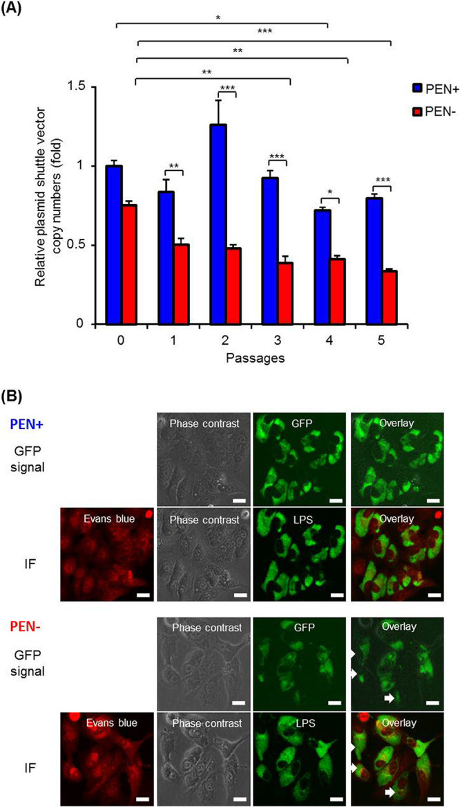 FIG 4