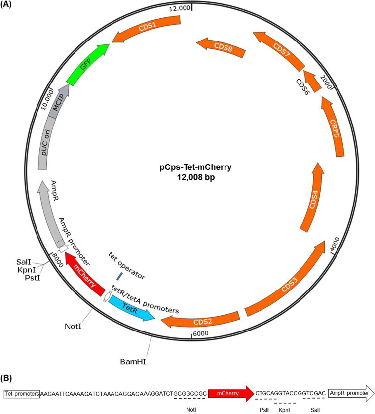 FIG 1