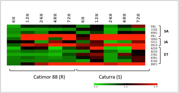 Fig 4