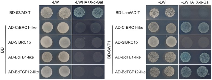 Figure 4