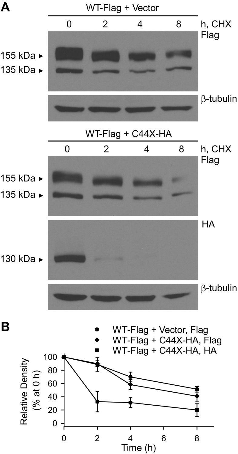 Fig. 8.