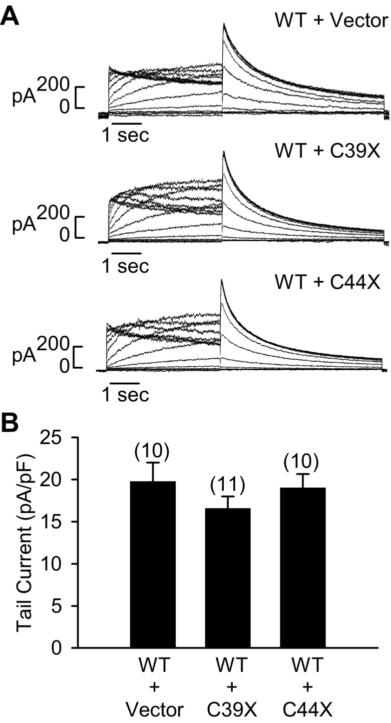 Fig. 5.