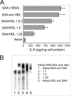 FIGURE 11.
