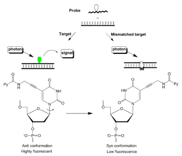 Fig. 12