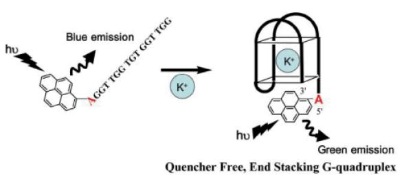 Fig. 18