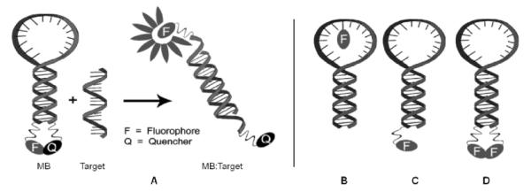 Fig. 16